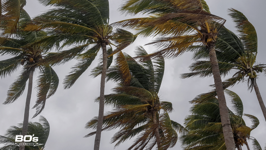 Prepare for Hurricane Season: A Guide from Bo’s Electric